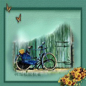 美女百分百裸体视频
